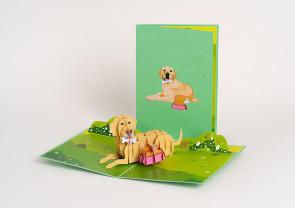 POP Card Pet perro