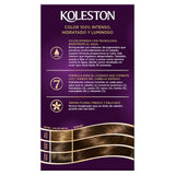 WR KOL KIT 40 CASTANO MEDIANO 50GR