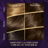 WR KOL KIT 40 CASTANO MEDIANO 50GR