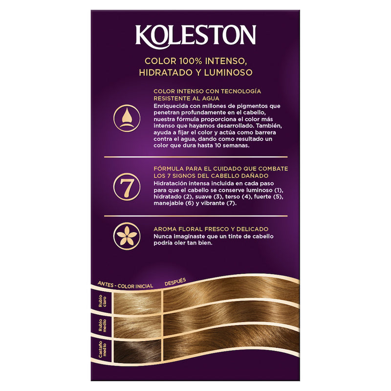 WR KOL KIT 73 RUBIO AVELLANA 50GR