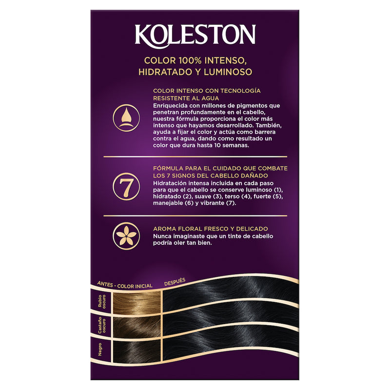 WR KOL KIT 20 NEGRO 50GR