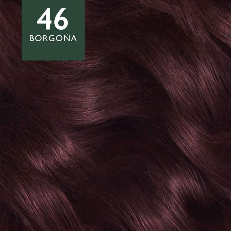 WR SFT CL KIT 46 BORGONA 35GR