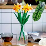 NARCISOS