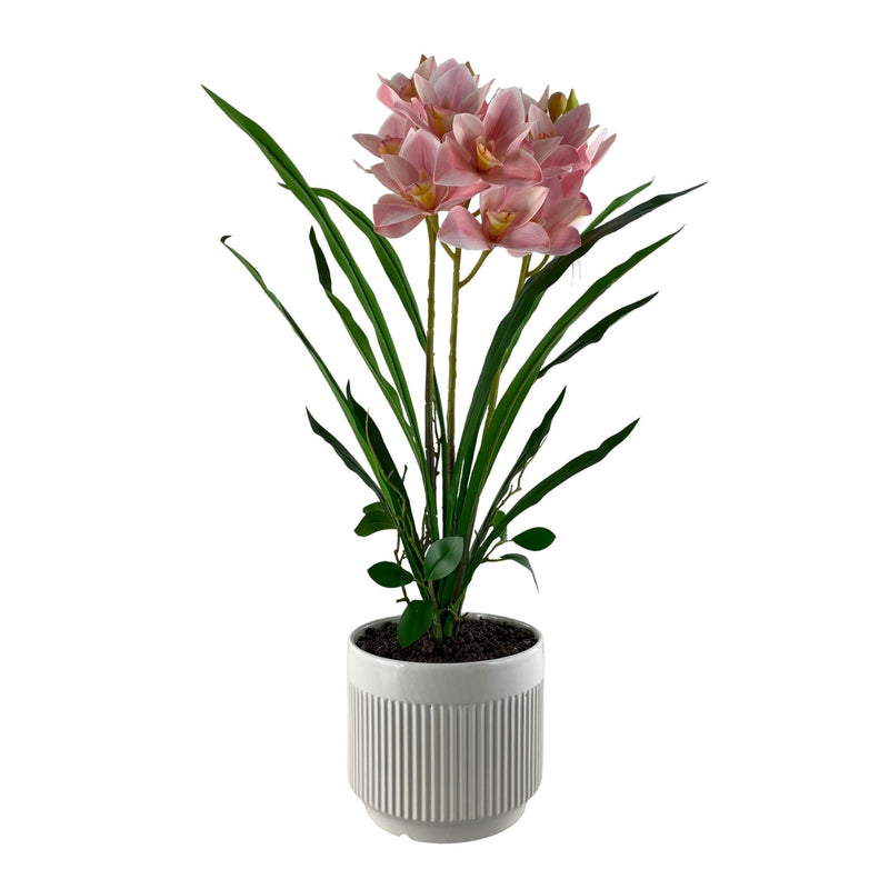 Orquidea Fuccia C/Pote Blanco 56X20X68cm