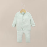 CLEMENTE PCOTTON