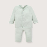 CLEMENTE PCOTTON