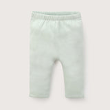 CLEMENTE PCOTTON