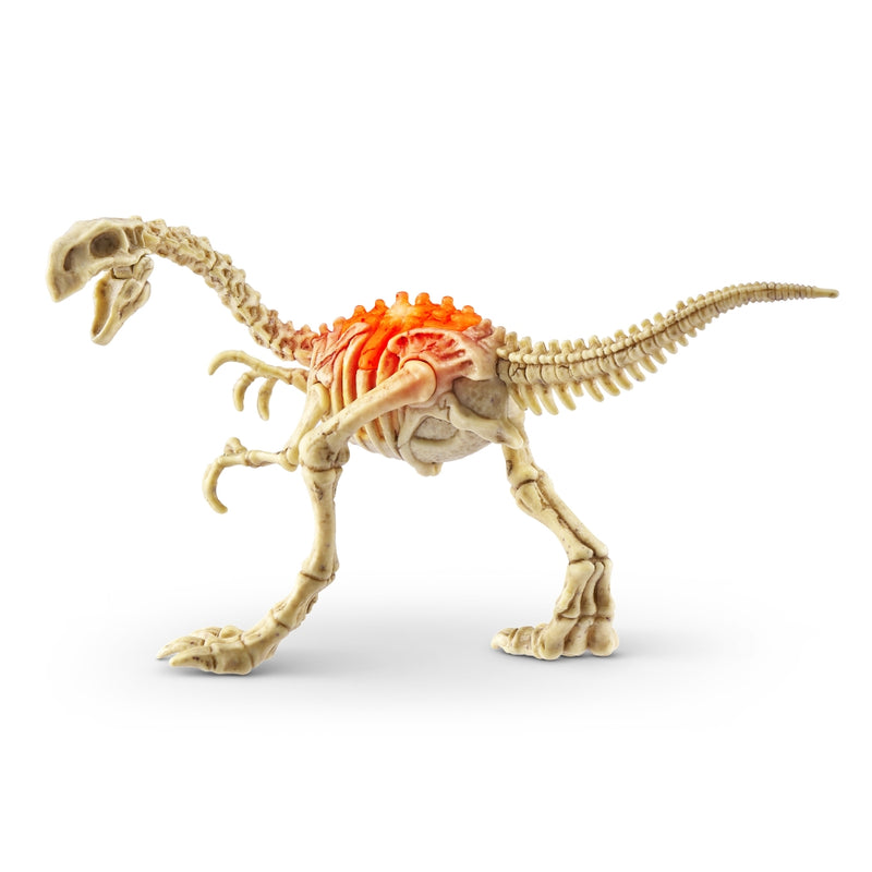MINI SET DE JUEGO DESCUBRE DINO FOSILES ROBO ALIVE