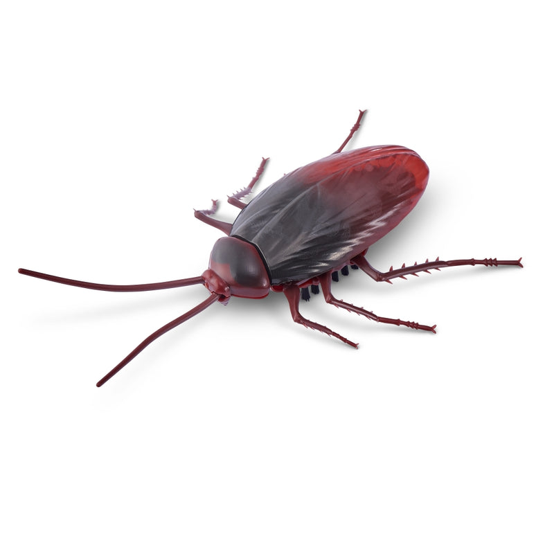 CUCARACHA ROBOTICA ROBO ALIVE