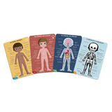PUZZLE EDUCATIF-CORPS HUMAIN 50-75-100P