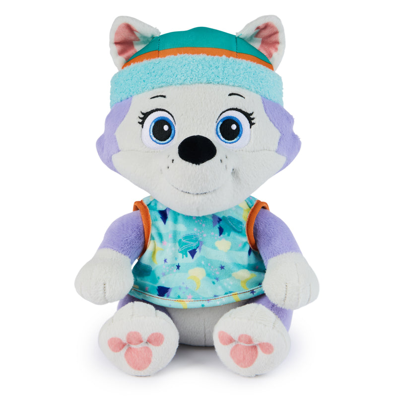 PELUCHE HORA DE DORMIR EVEREST V2 PAW PATROL