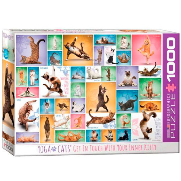 Eurographics Yoga Cats - 1000 piezas. Divertido rompecabezas que muestra a gatos en diferentes posturas. ¡Ideal para los cat lovers! (7028768243864)